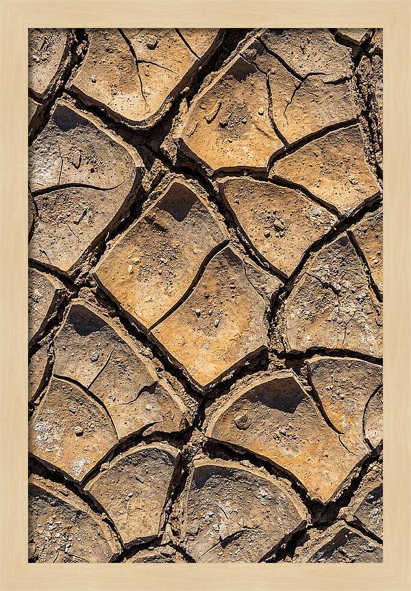 Cracked Earth Under Drought