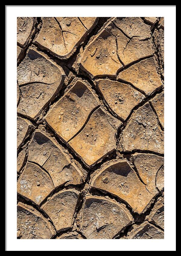 Cracked Earth Under Drought