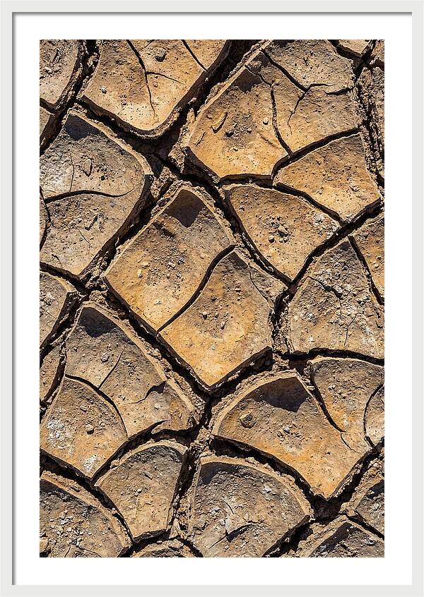 Cracked Earth Under Drought