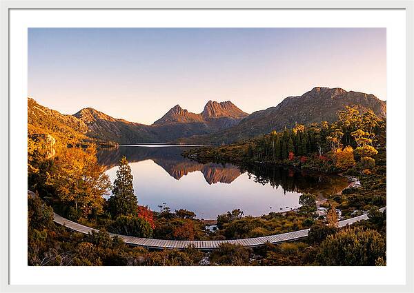 Cradle Mountain Reflections At Dawn