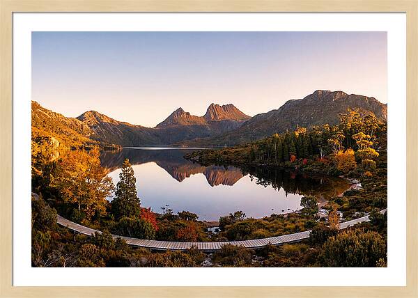 Cradle Mountain Reflections At Dawn