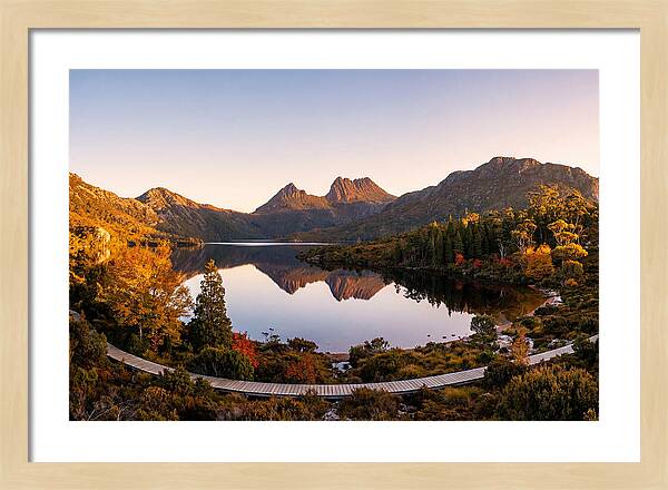 Cradle Mountain Reflections At Dawn