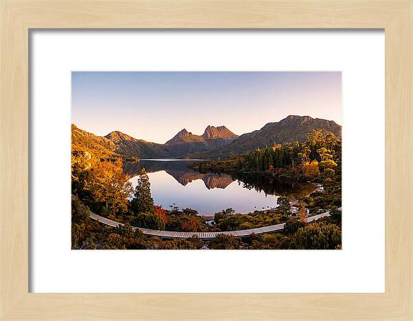 Cradle Mountain Reflections At Dawn