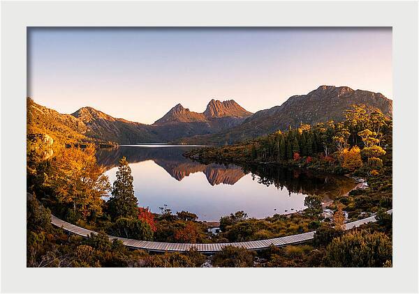 Cradle Mountain Reflections At Dawn