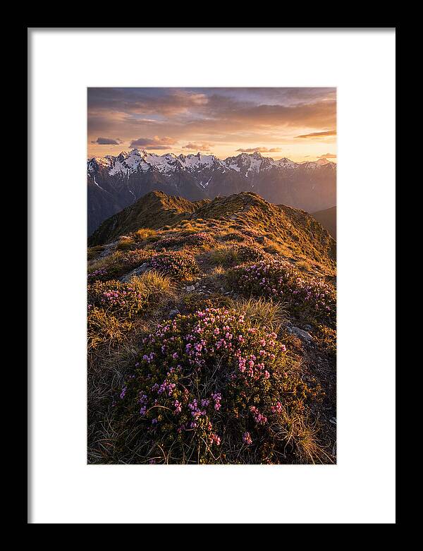 Craggy Gardens Serenity