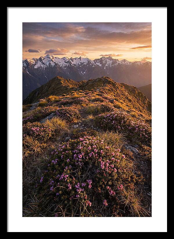 Craggy Gardens Serenity