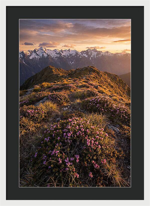 Craggy Gardens Serenity