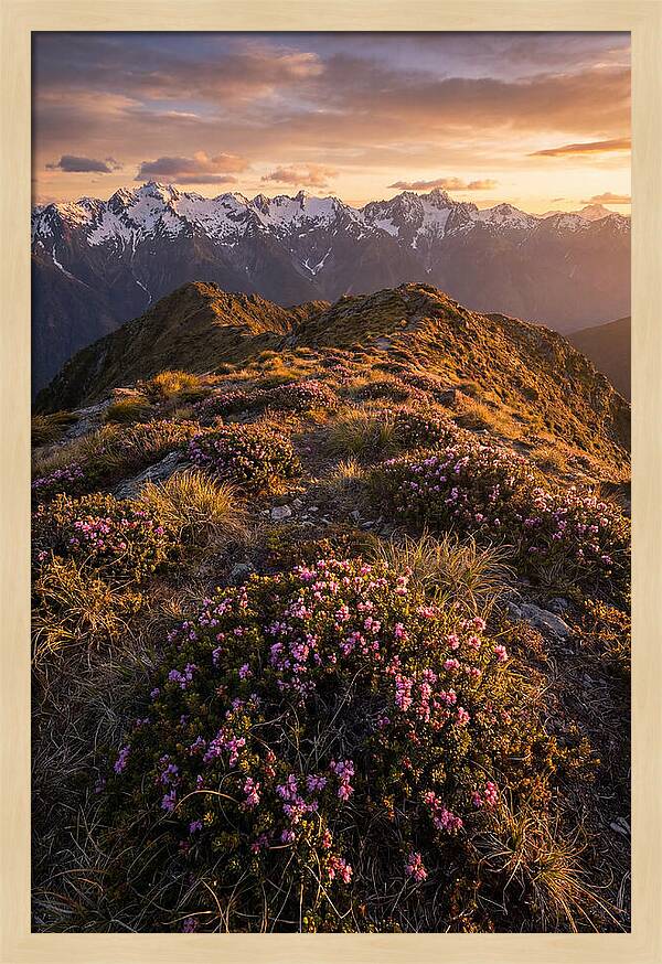 Craggy Gardens Serenity