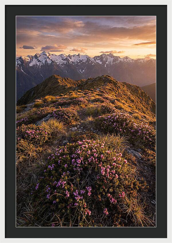 Craggy Gardens Serenity