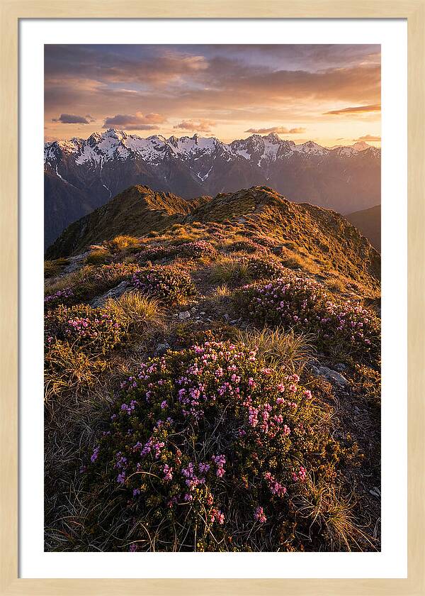 Craggy Gardens Serenity