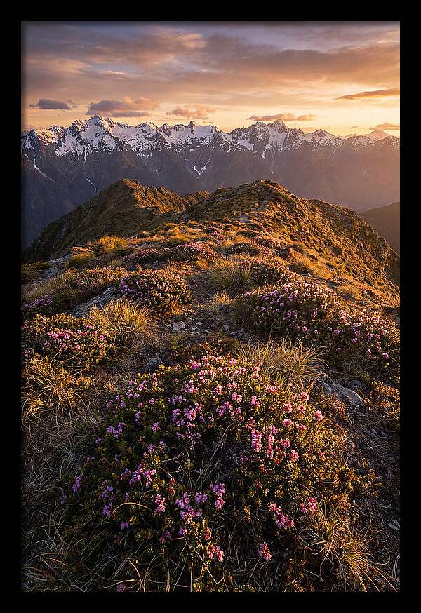 Craggy Gardens Serenity