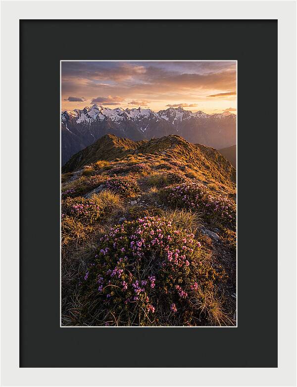 Craggy Gardens Serenity