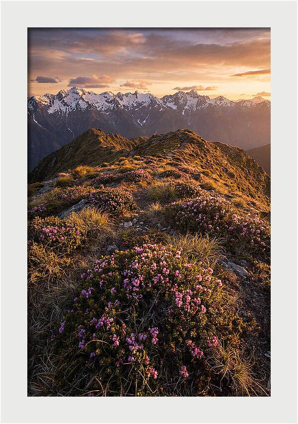 Craggy Gardens Serenity