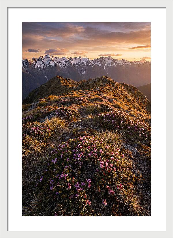 Craggy Gardens Serenity