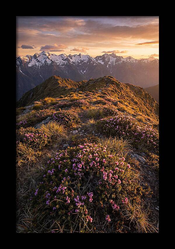 Craggy Gardens Serenity