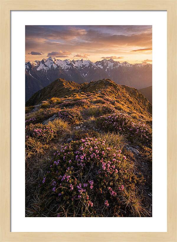Craggy Gardens Serenity
