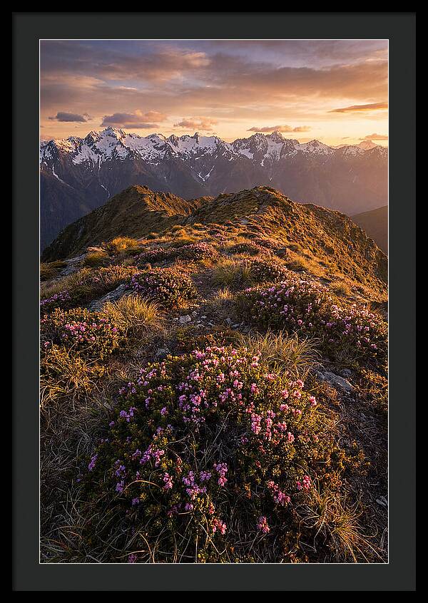 Craggy Gardens Serenity