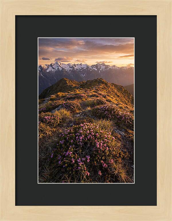 Craggy Gardens Serenity