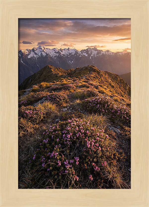 Craggy Gardens Serenity