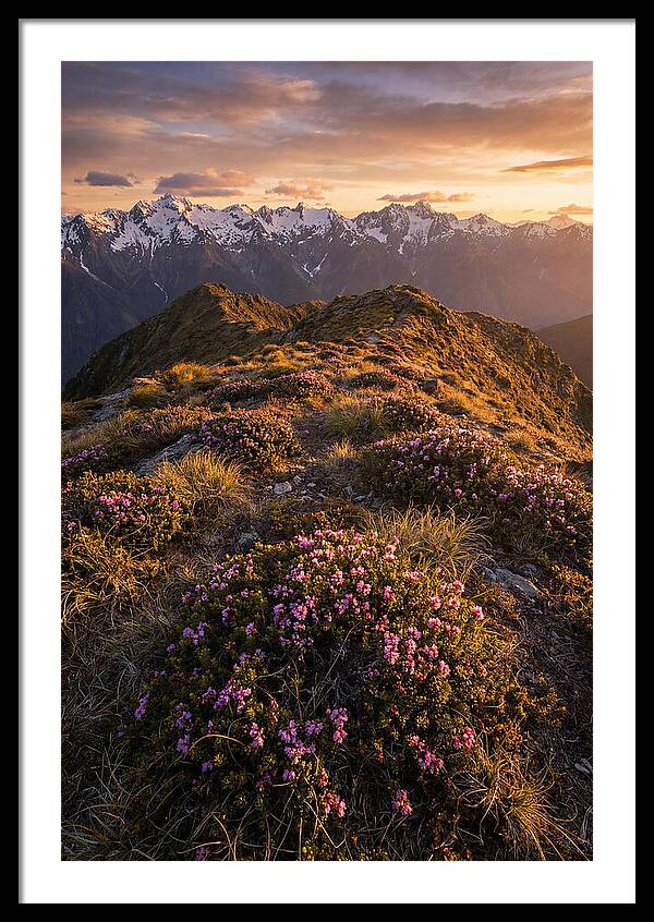 Craggy Gardens Serenity