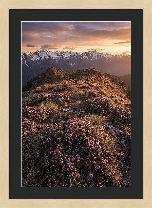 Craggy Gardens Serenity