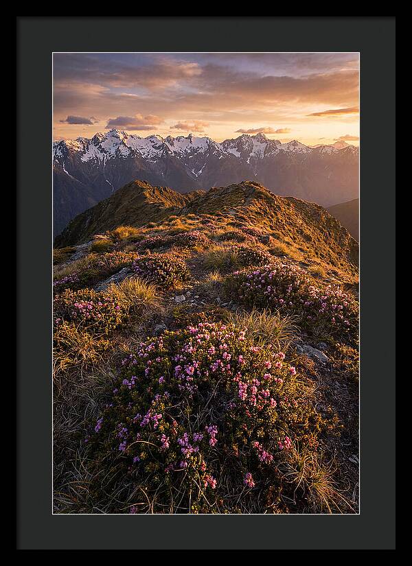 Craggy Gardens Serenity