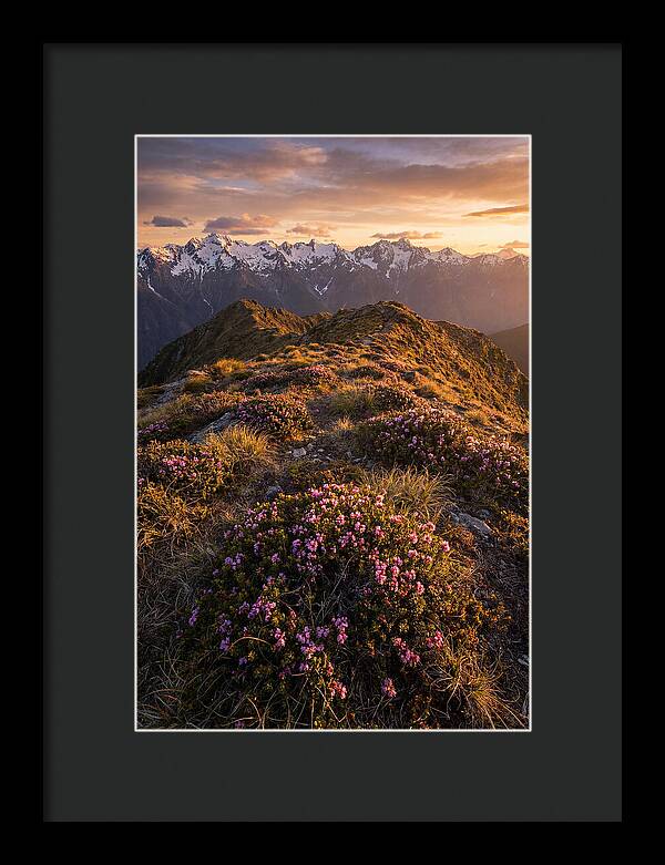 Craggy Gardens Serenity