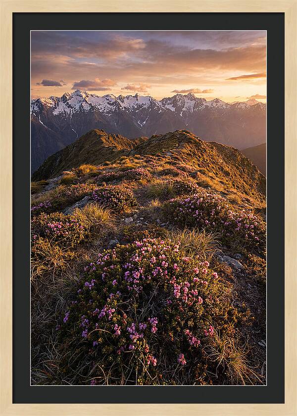 Craggy Gardens Serenity