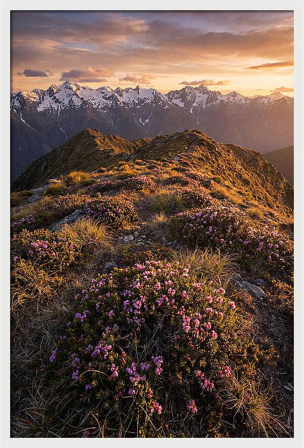 Craggy Gardens Serenity
