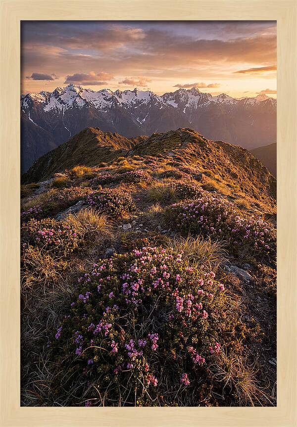 Craggy Gardens Serenity