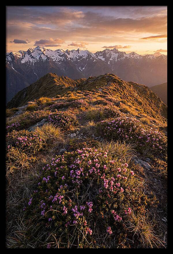Craggy Gardens Serenity