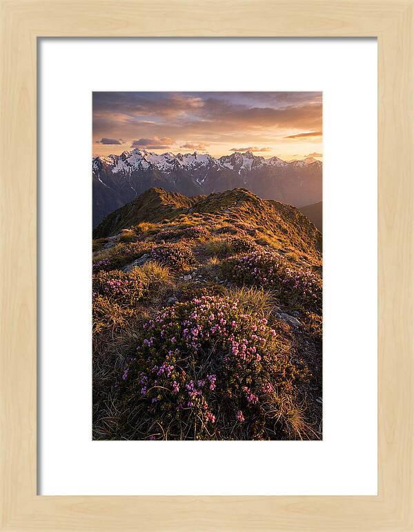 Craggy Gardens Serenity