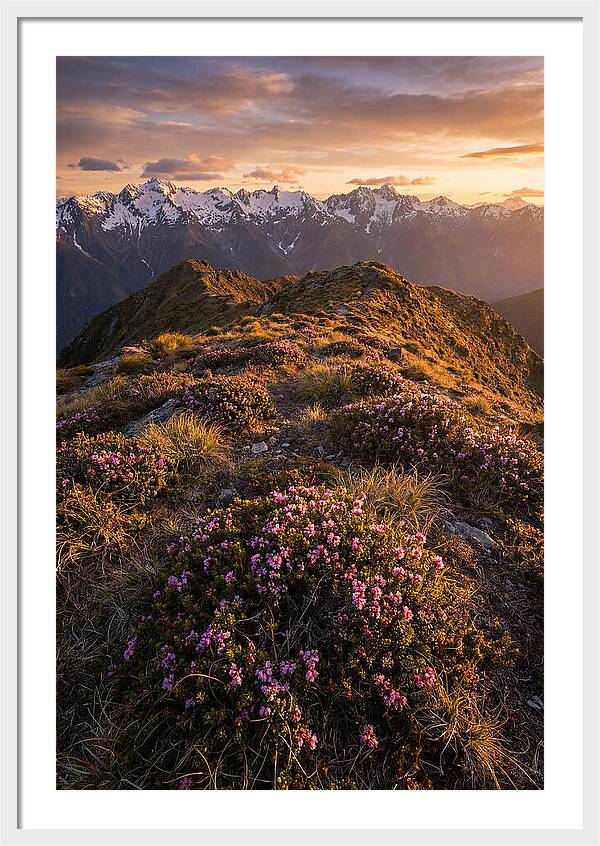 Craggy Gardens Serenity