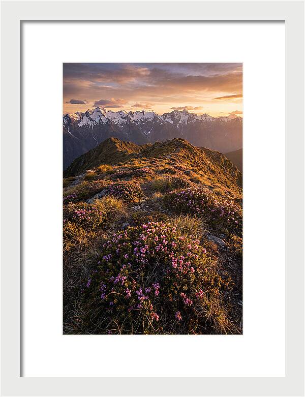 Craggy Gardens Serenity