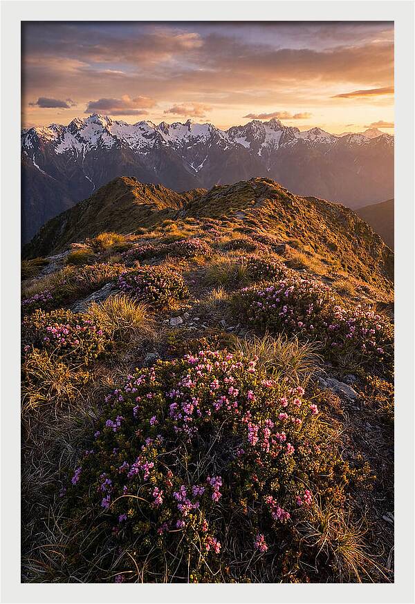 Craggy Gardens Serenity