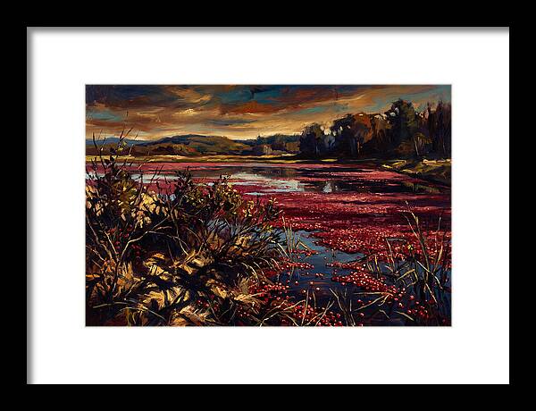 Cranberry Bog Serenity