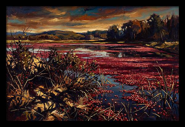 Cranberry Bog Serenity