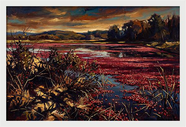 Cranberry Bog Serenity