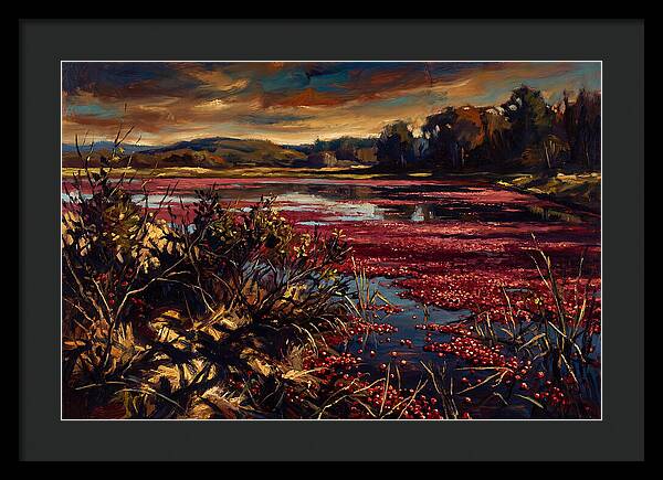 Cranberry Bog Serenity