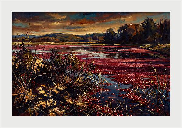 Cranberry Bog Serenity