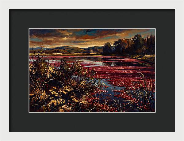 Cranberry Bog Serenity
