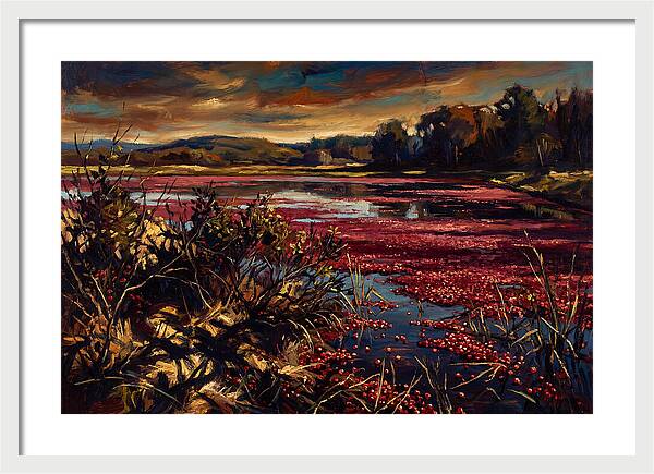 Cranberry Bog Serenity