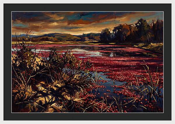 Cranberry Bog Serenity