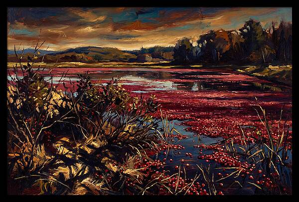 Cranberry Bog Serenity