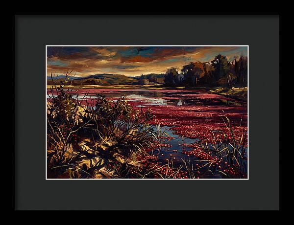 Cranberry Bog Serenity