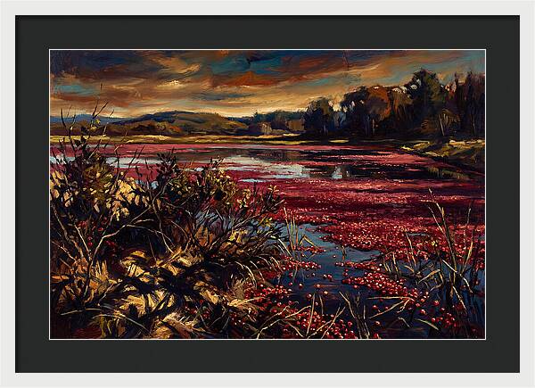 Cranberry Bog Serenity