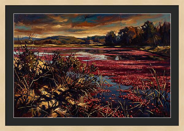 Cranberry Bog Serenity
