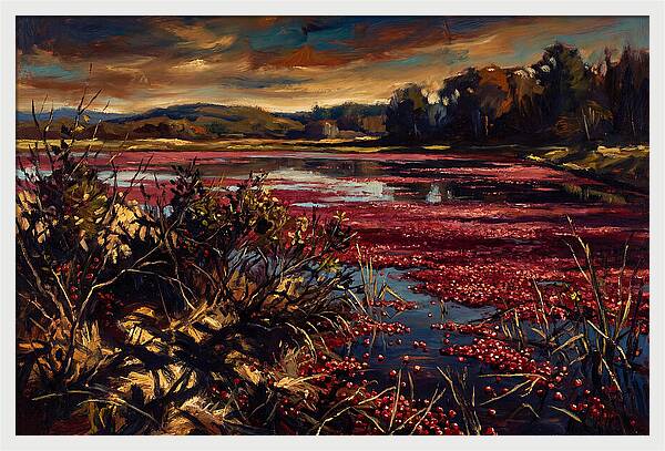 Cranberry Bog Serenity