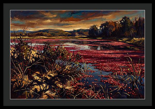 Cranberry Bog Serenity