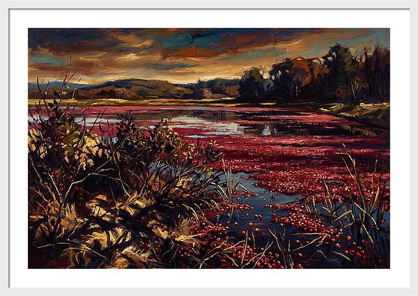 Cranberry Bog Serenity
